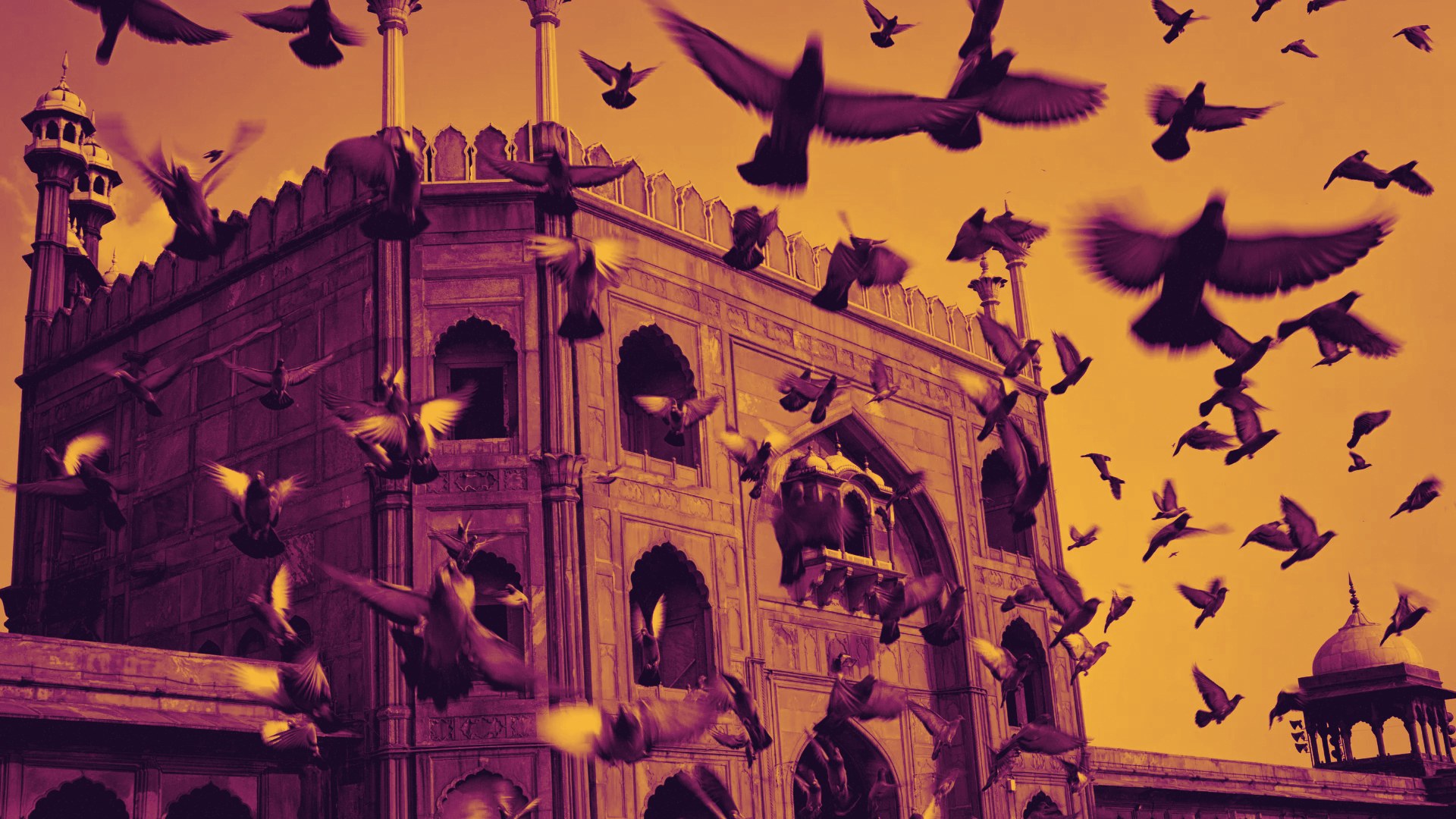Birds over a Mughal mosque at golden hour